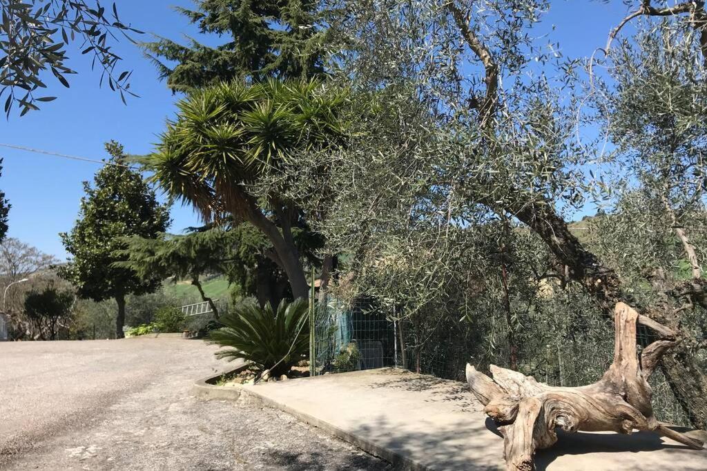 Casa Lu Monaco Tranquillita A Due Passi Dal Mare Apartment Порто д'Асколи Екстериор снимка